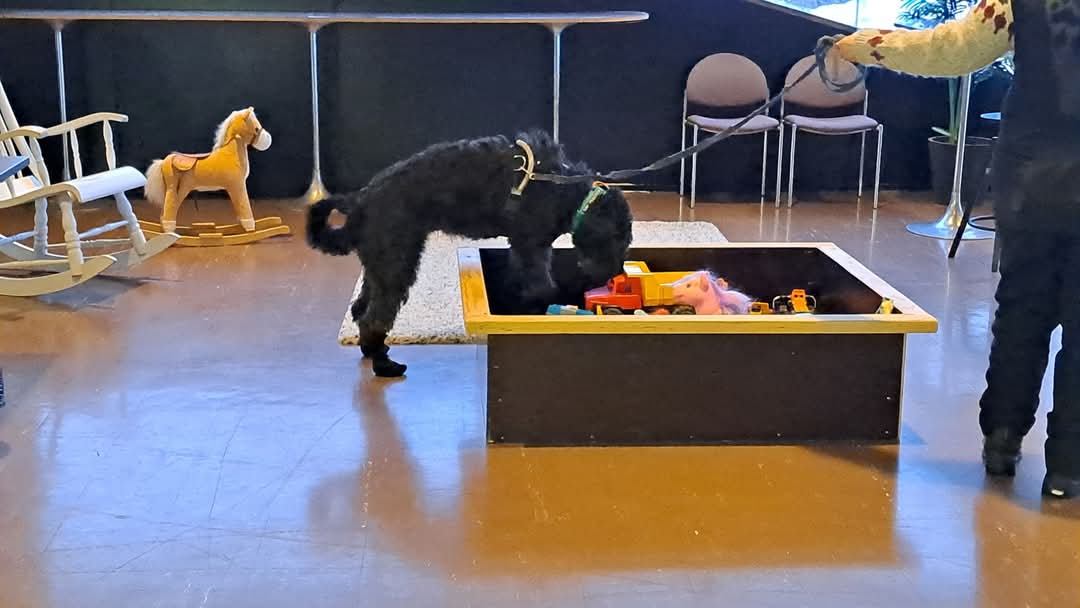 Maaliskuun nosework-koe