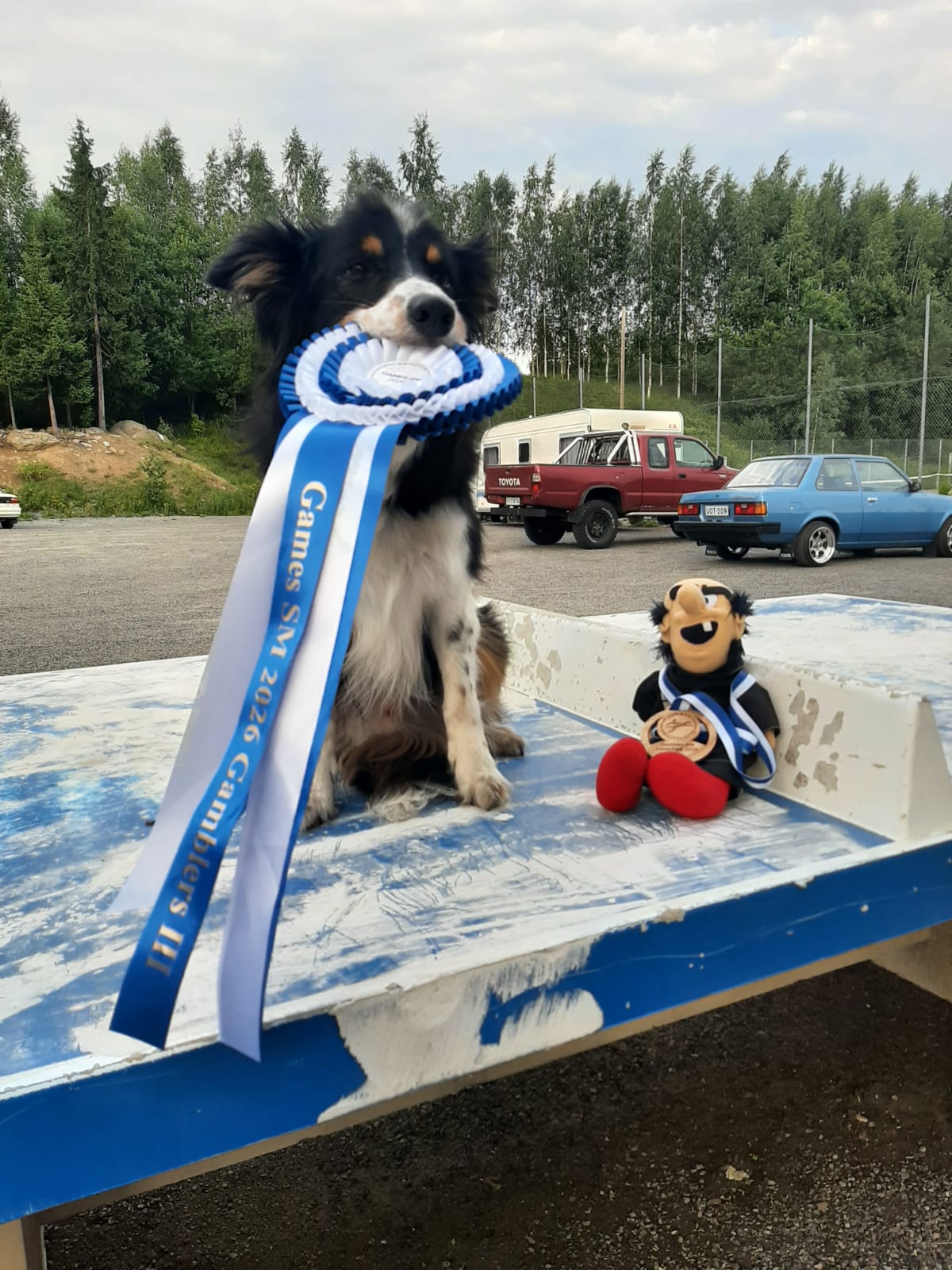 Agilityn games-lajien SM-kisoissa menestystä Hukka-Putkelle